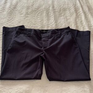 Gently Loved Blue/ Black Striped FIONA Petite Dress Pants By Apostrophe